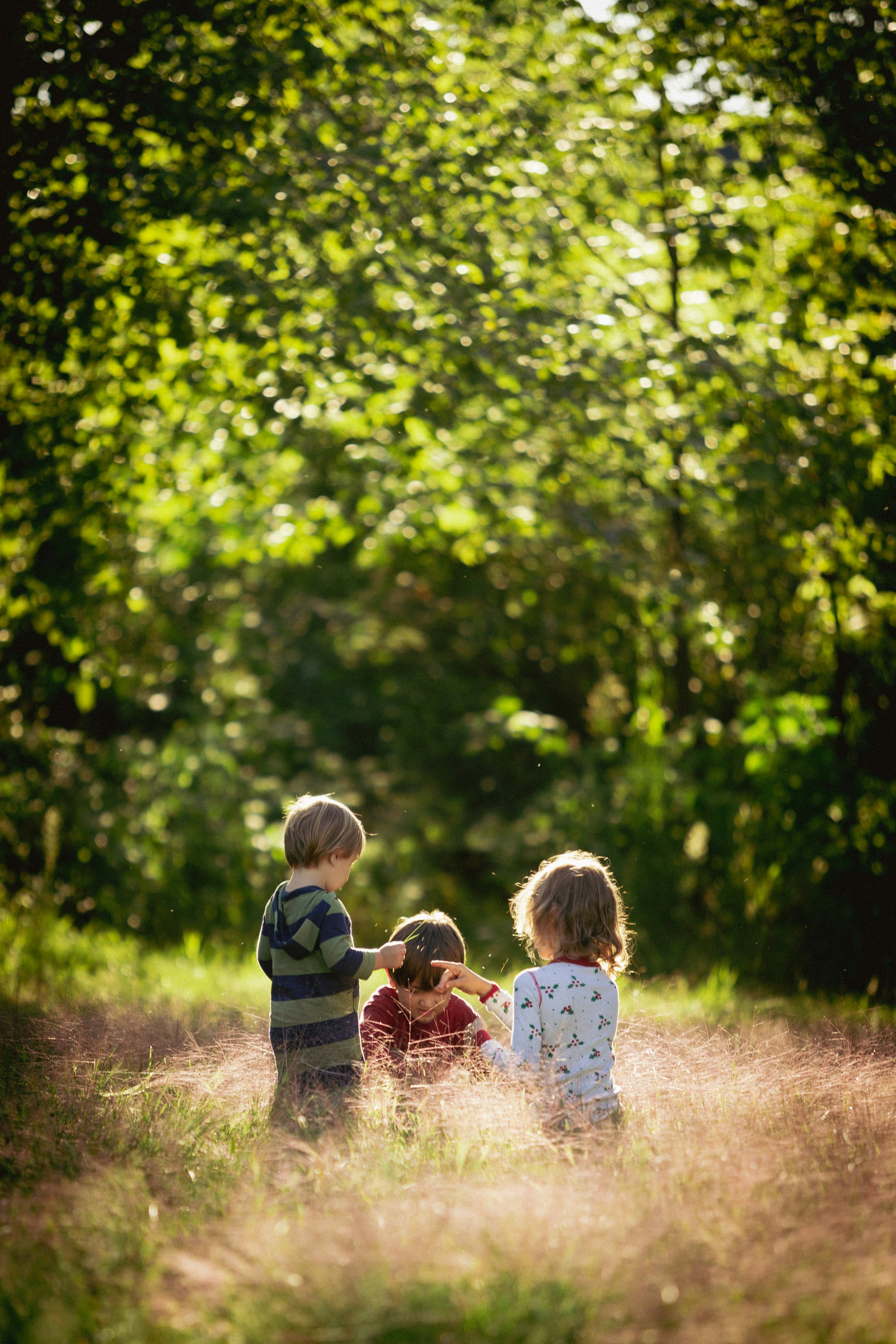 laura ohlman sW6TRpgZLMw unsplash